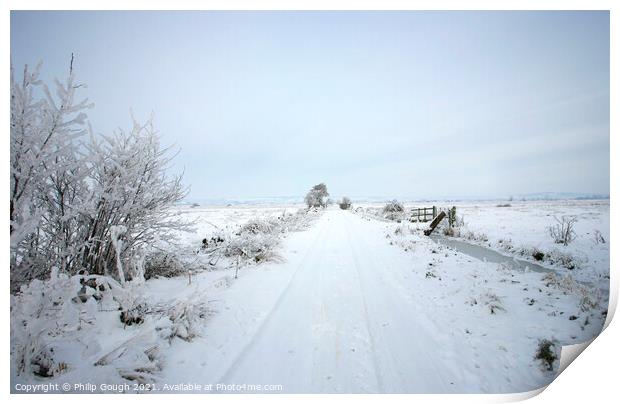 Winter on the Somerset Levels Print by Philip Gough