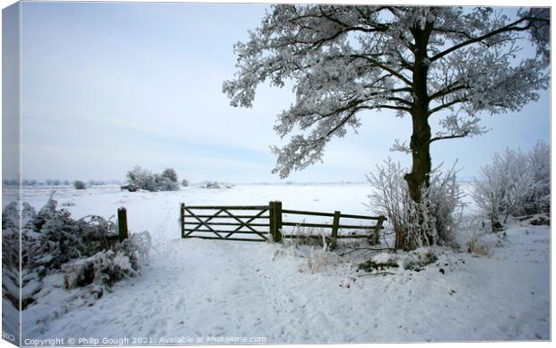 Snow on the Somerset Levels Canvas Print by Philip Gough
