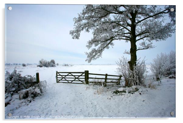 Snow on the Somerset Levels Acrylic by Philip Gough