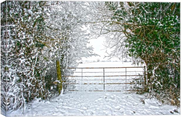 Snow on the Somerset Levels Canvas Print by Philip Gough