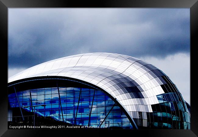 The Sage in Blue Framed Print by Rebecca Willoughby
