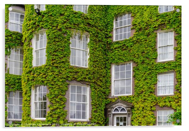 Butler House, Kilkenny, Ireland Acrylic by Christian Lademann