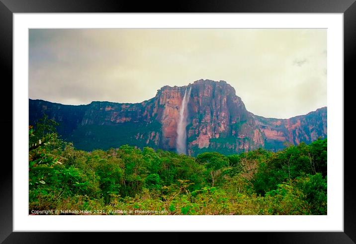 The Angel Falls, Venezuela Framed Mounted Print by Nathalie Hales