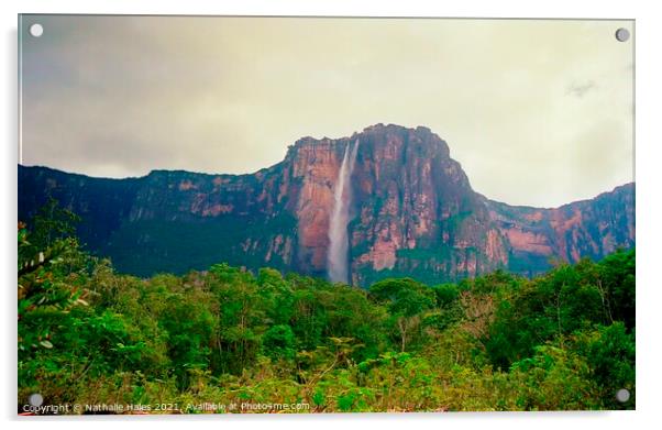 The Angel Falls, Venezuela Acrylic by Nathalie Hales
