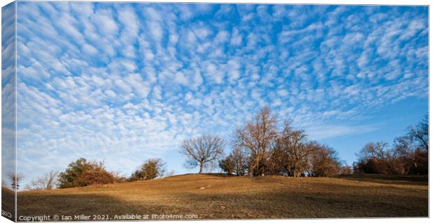 Sky cloud Canvas Print by Ian Miller