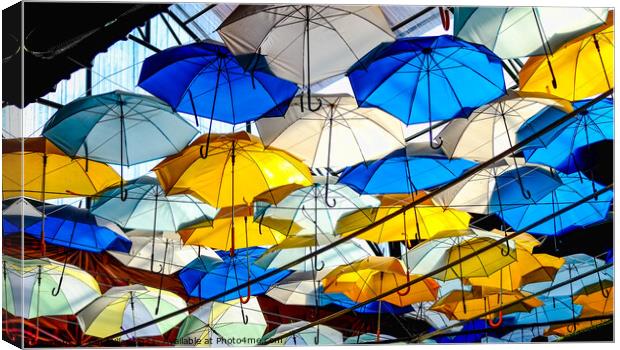 Decorative Umbrellas Canvas Print by Ian Miller