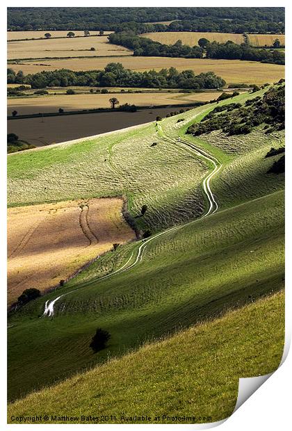 Long Man Path Print by Matthew Bates