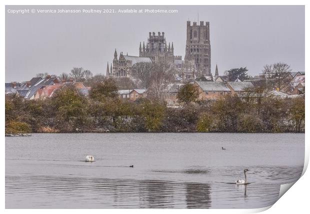 Winter Scenery with Ely Cathedral in Ely, Cambridgeshire  Print by Veronica in the Fens