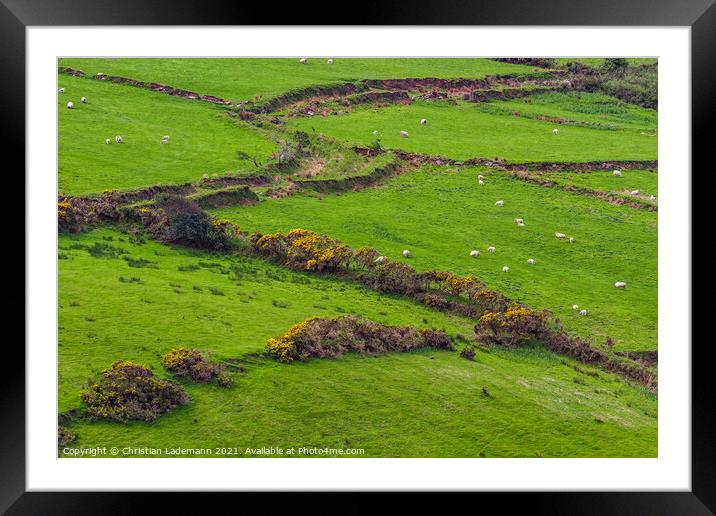 grasslands at Dingle Framed Mounted Print by Christian Lademann
