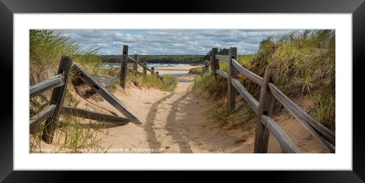 Beach Path Framed Mounted Print by David Hare