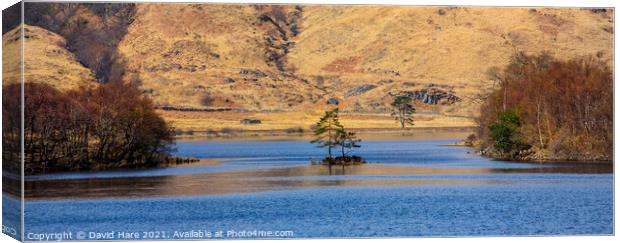 Loch Shiel Canvas Print by David Hare