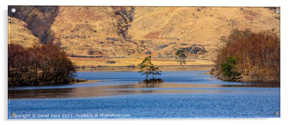 Loch Shiel Acrylic by David Hare