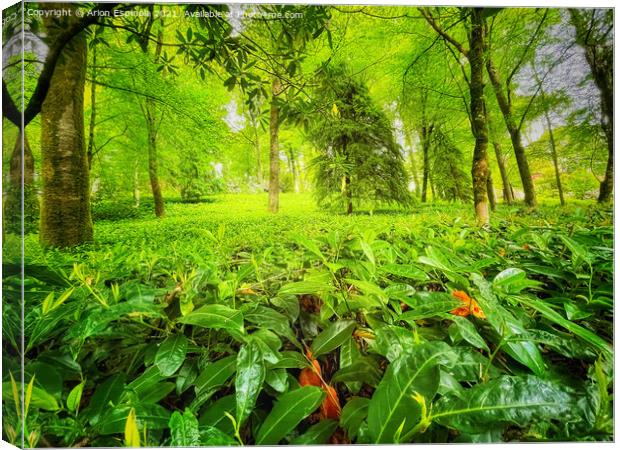 Beautiful green English garden  Canvas Print by Arion Espinola