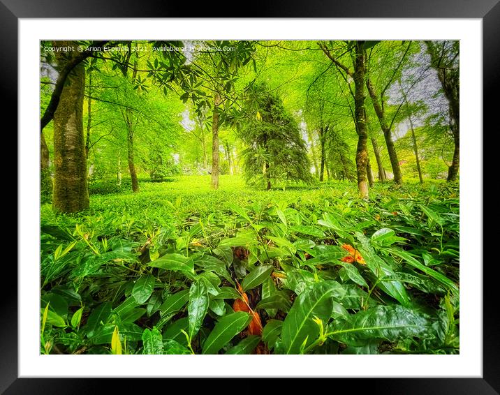 Beautiful green English garden  Framed Mounted Print by Arion Espinola