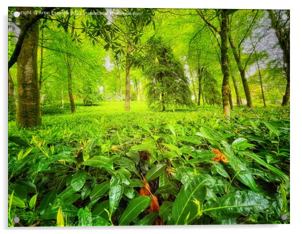 Beautiful green English garden  Acrylic by Arion Espinola