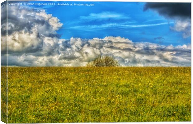 Outdoor view at Roundway hill , England  Canvas Print by Arion Espinola