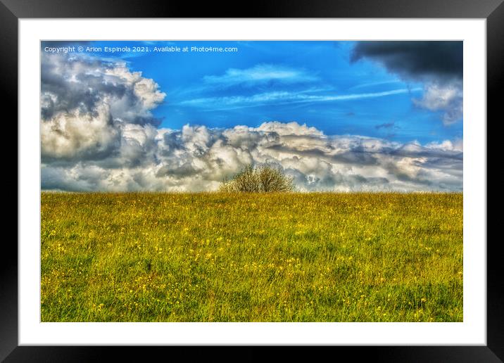 Outdoor view at Roundway hill , England  Framed Mounted Print by Arion Espinola