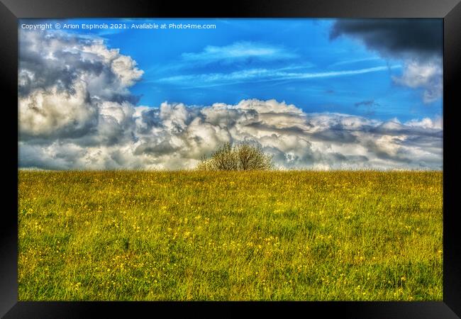 Outdoor view at Roundway hill , England  Framed Print by Arion Espinola