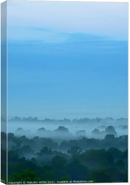 Misty  Fogy Trees Sky Morning Domfront 61700 Franc Canvas Print by Malcolm White