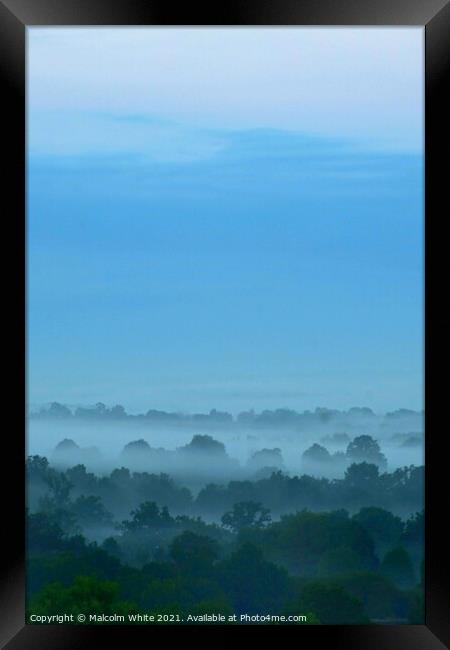 Misty  Fogy Trees Sky Morning Domfront 61700 Franc Framed Print by Malcolm White