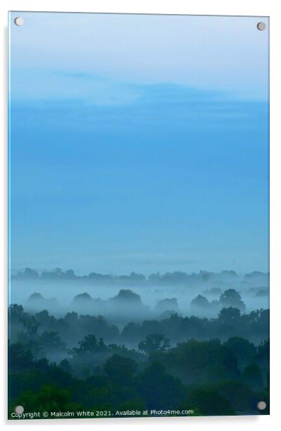 Misty  Fogy Trees Sky Morning Domfront 61700 Franc Acrylic by Malcolm White