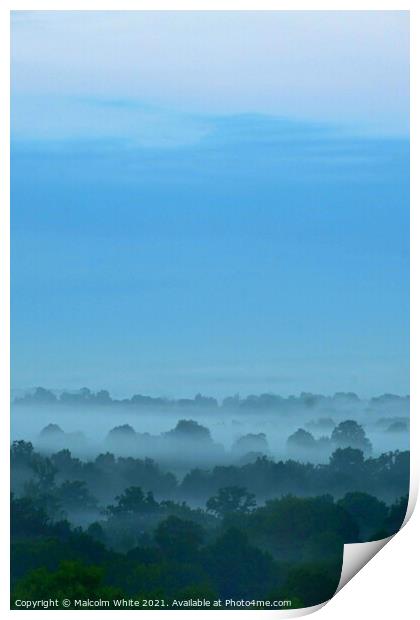Misty  Fogy Trees Sky Morning Domfront 61700 Franc Print by Malcolm White