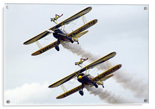 Utterly  Display team  Acrylic by Les Schofield