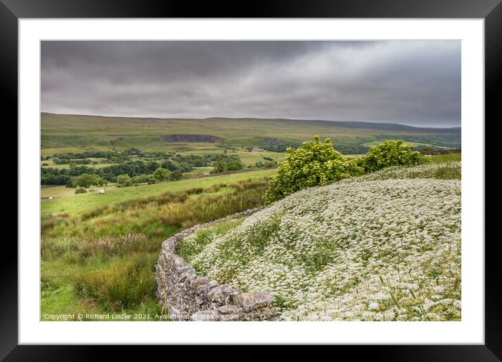 Middleton Pignuts Framed Mounted Print by Richard Laidler