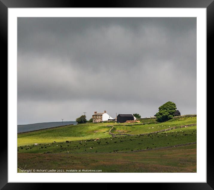 Green Hills Farm, Harwood, Teesdale  Framed Mounted Print by Richard Laidler