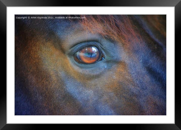 The horse eyes  Framed Mounted Print by Arion Espinola
