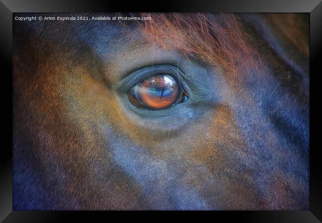 The horse eyes  Framed Print by Arion Espinola