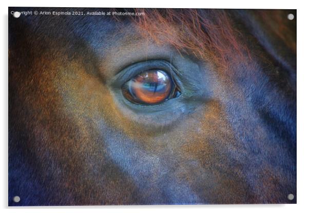 The horse eyes  Acrylic by Arion Espinola