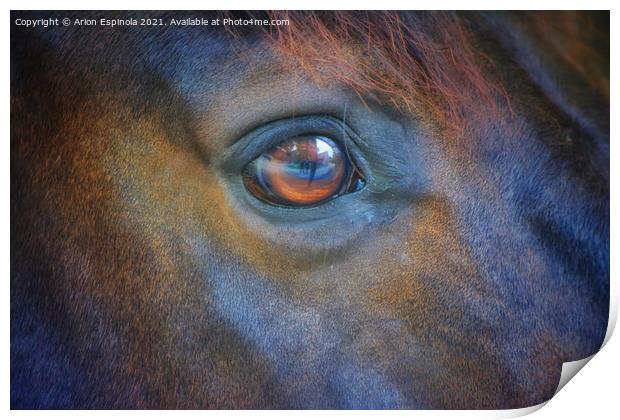 The horse eyes  Print by Arion Espinola