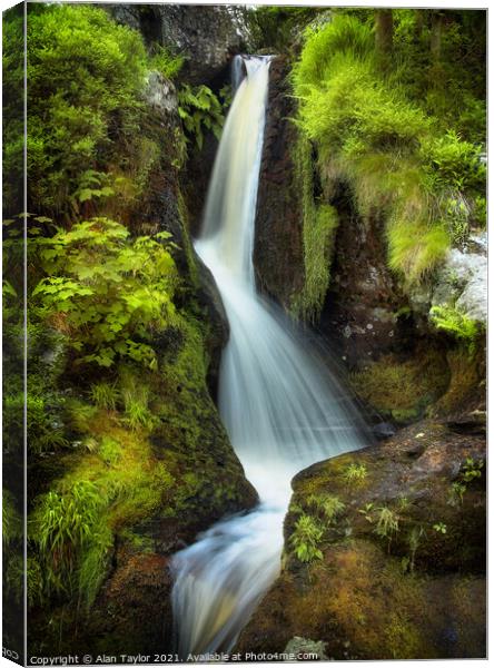 Pistyll Rhaeadr waterfall near Oswestry Canvas Print by Alan Taylor