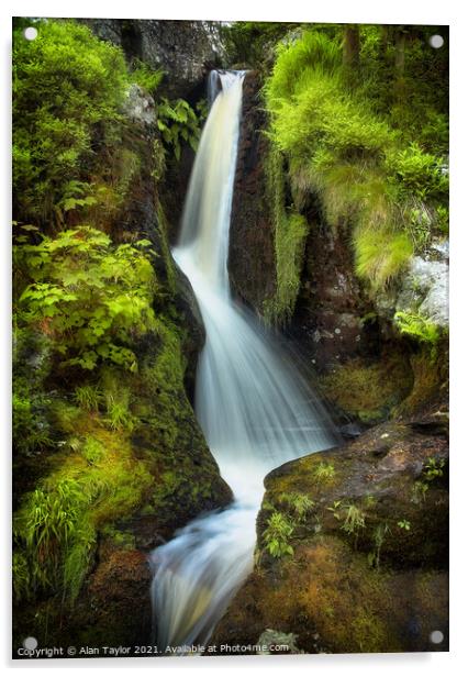 Pistyll Rhaeadr waterfall near Oswestry Acrylic by Alan Taylor