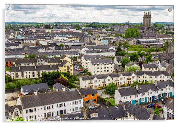 Kilkenny with St. Mary's Cathedral, Ireland Acrylic by Christian Lademann
