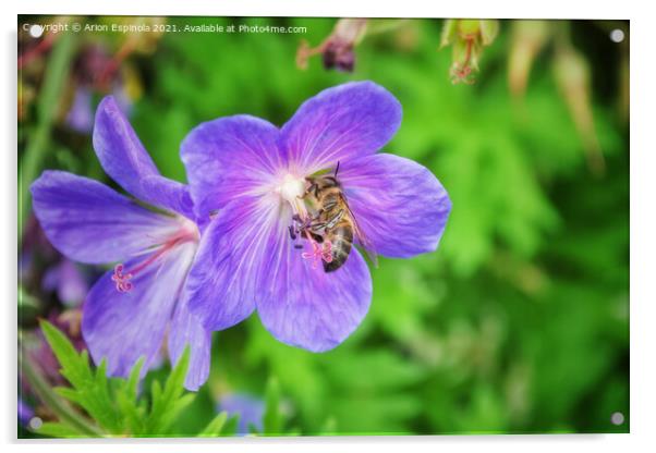 Purple flower nectar  Acrylic by Arion Espinola