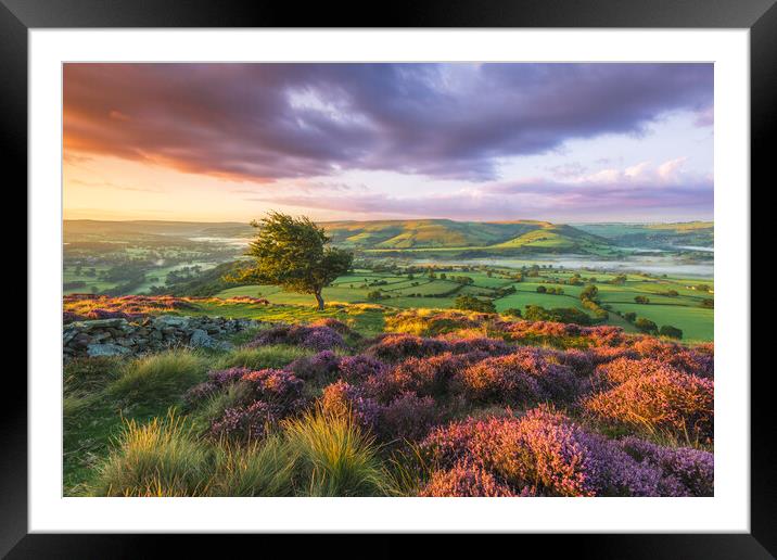 Purple landscape of the Peak District  Framed Mounted Print by John Finney