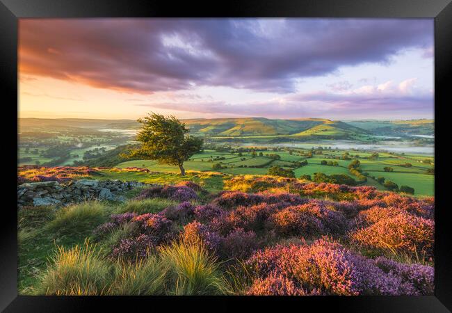 Purple landscape of the Peak District  Framed Print by John Finney