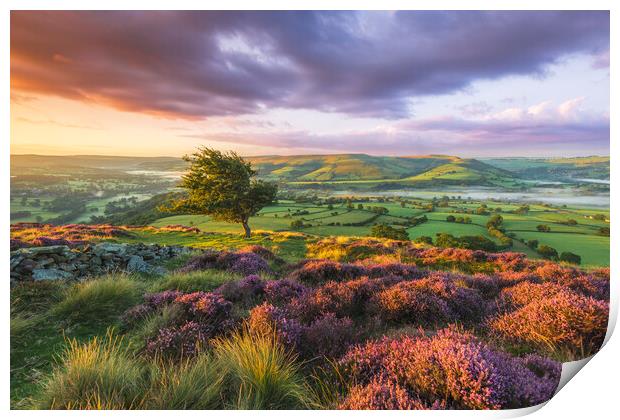 Purple landscape of the Peak District  Print by John Finney