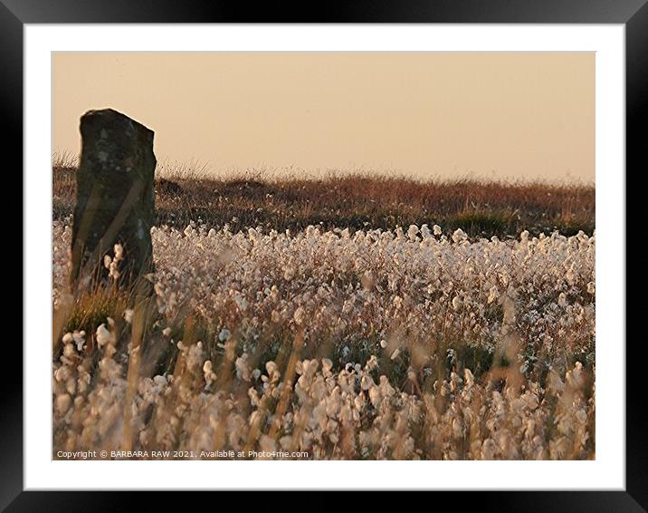 Moorland Standing Stone Framed Mounted Print by BARBARA RAW