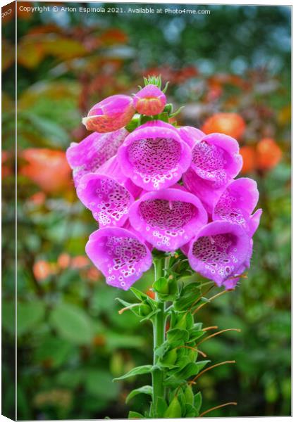 Purple Bell Flowers  Canvas Print by Arion Espinola