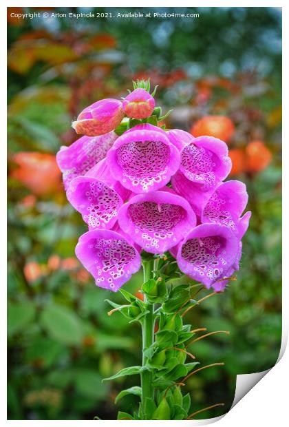Purple Bell Flowers  Print by Arion Espinola