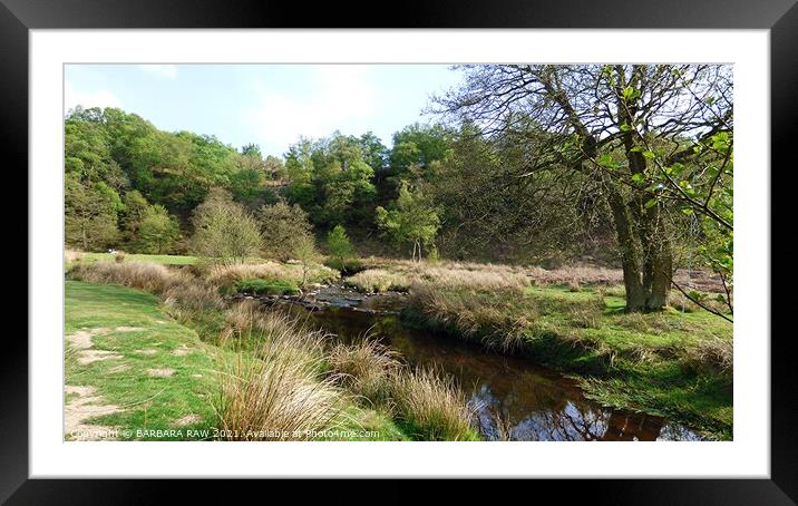 The Stream Framed Mounted Print by BARBARA RAW