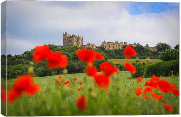 Bolsover Castle and the Poppy Field  Canvas Print by Michael South Photography