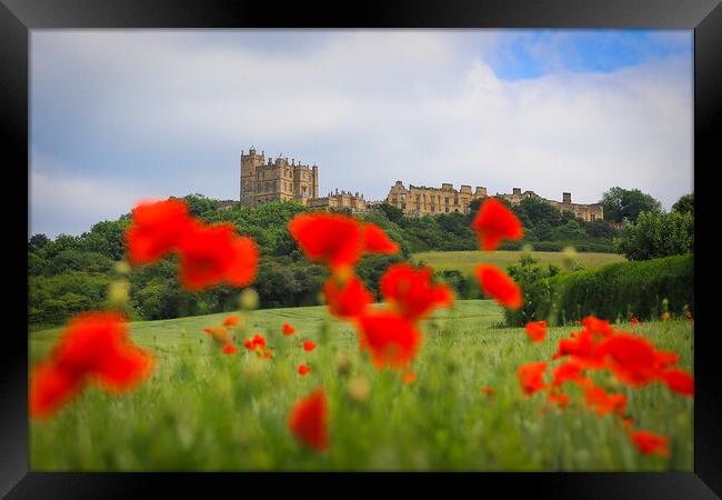 Bolsover Castle and the Poppy Field  Framed Print by Michael South Photography