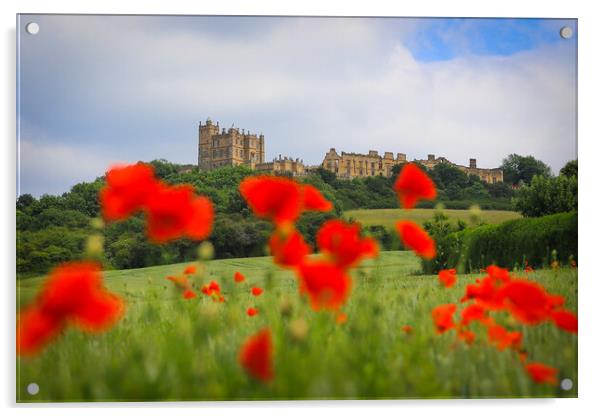 Bolsover Castle and the Poppy Field  Acrylic by Michael South Photography