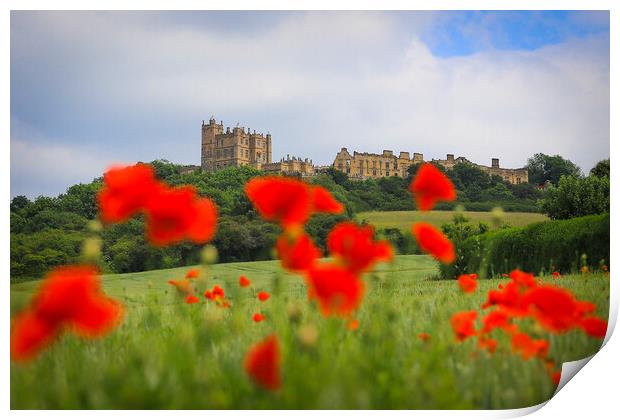 Bolsover Castle and the Poppy Field  Print by Michael South Photography