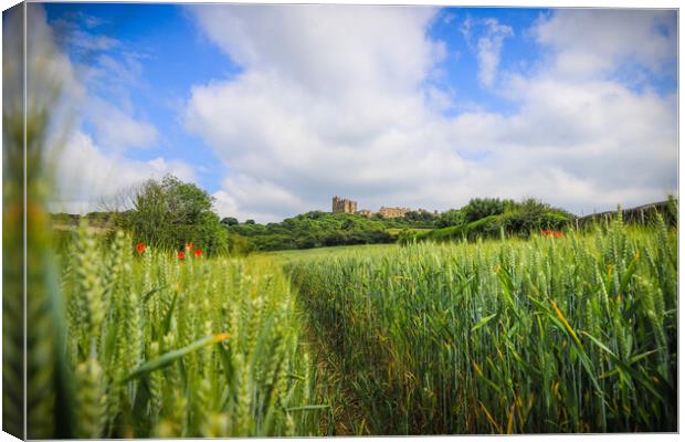 Bolsover Castle  Canvas Print by Michael South Photography