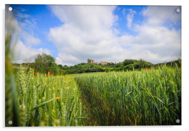 Bolsover Castle  Acrylic by Michael South Photography